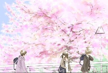 深入了解 蘑菇Tv网页版登录入口